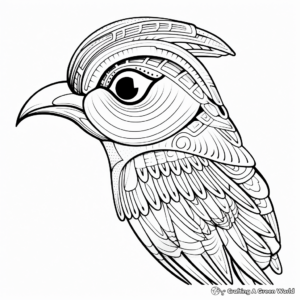 Exotic Bird Head Coloring Pages for Bird Lovers 4