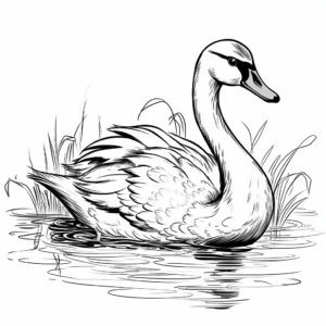 Exotic Black Swan Coloring Pages 2
