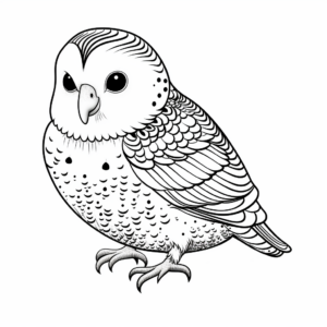 Exotic Budgie Coloring Pages for Everyone 3