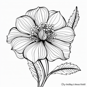 Exotic Flower Filament Part Coloring Pages 1