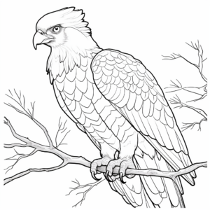Exotic Harpy Eagle Adult Coloring Pages 2