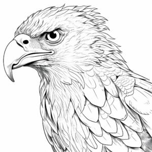 Exotic Harpy Eagle Adult Coloring Pages 3