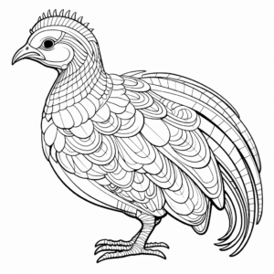 Exotic Reeves's Pheasant Coloring Sheets 4