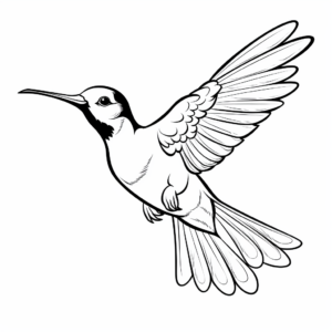Exotic Ruby Throated Hummingbird Coloring Pages for Adults 3