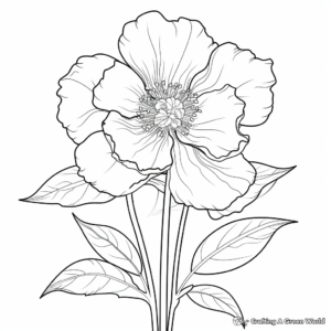 Exotic Tree Peony Coloring Pages 4