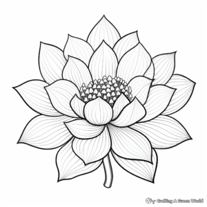 Exotic Water Lily Flower Coloring Pages for Creatives 4