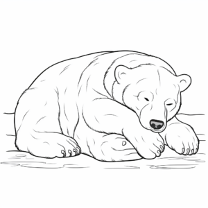 Exquisite Polar Bear Sleeping Coloring Pages 2