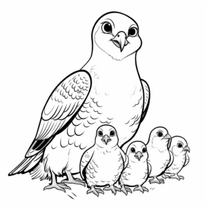 Falcon Family Coloring Pages: Male, Female, and Chicks 1