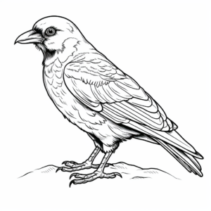 Fascinating Fan-tailed Raven Coloring Pages 2