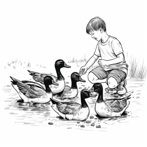 Feeding Canada Geese Coloring Pages for Kids 1