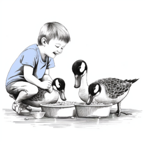 Feeding Canada Geese Coloring Pages for Kids 3