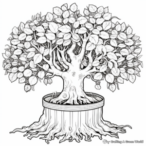 Ficus Species: Variety of Figs Coloring Pages 1