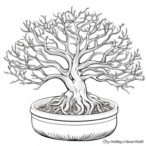 Ficus Species: Variety of Figs Coloring Pages 2