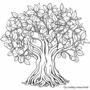 Ficus Species: Variety of Figs Coloring Pages 3