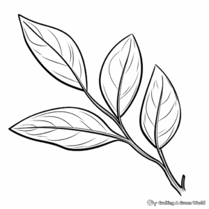 Fig and Fig Leaf Coloring Pages 2