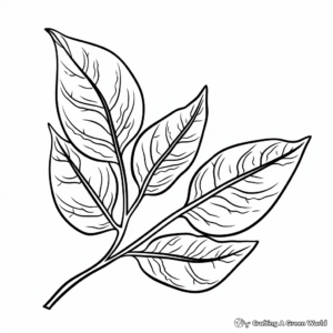 Fig and Fig Leaf Coloring Pages 4