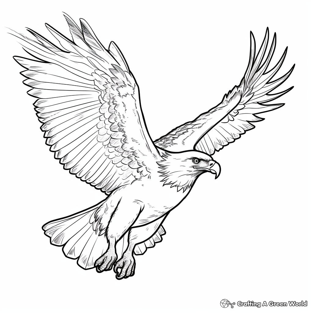 Flying Bald Eagle Coloring Pages 4