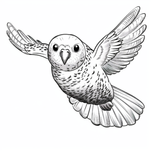 Flying Budgie Action Coloring Pages 1
