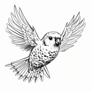 Flying Budgie Action Coloring Pages 2