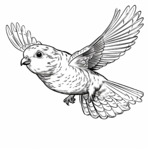 Flying Budgie Action Coloring Pages 3