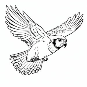 Flying Falcon with Spread Wings Coloring Pages 1