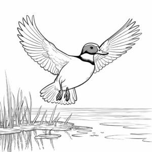Flying Wood Duck: Sky Scene Coloring Pages 2