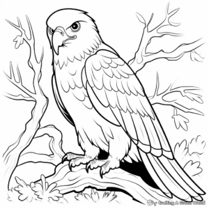 Forest Wildlife Eagle Coloring Pages 4