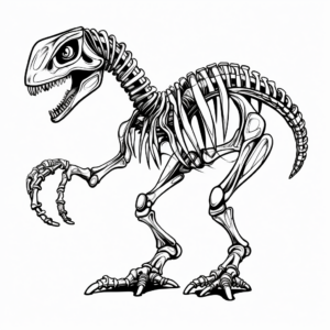 Fossilized Velociraptor Skeleton Coloring Pages 3