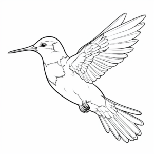 Free Printable Ruby Throated Hummingbird Coloring Pages 2