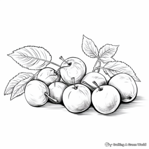 Fresh Figs Coloring Pages for Children 1