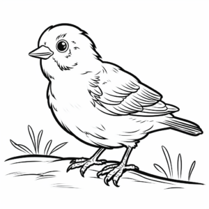 Friendly Finch Coloring Pages: Perfect For Afternoon Coloring 2