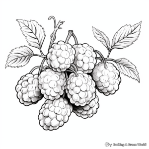 Fruiting Raspberry Plant Coloring Pages 1