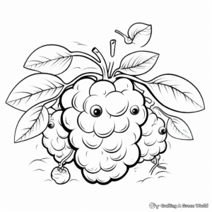 Fruiting Raspberry Plant Coloring Pages 2