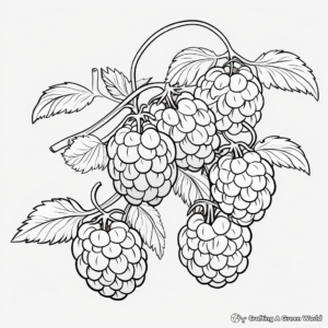 Fruiting Raspberry Plant Coloring Pages 3