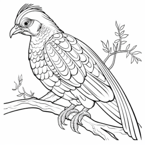 Fun Green Pheasant Coloring Pages for Kids 1