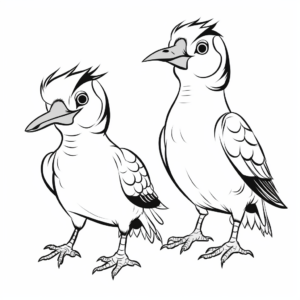 Fun Male and Female Woodpecker Coloring Pages 4