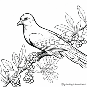 Fun Pigeon Peas Coloring Pages 1