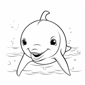 Gentle Dolphin Face Coloring Pages For Beginners 4