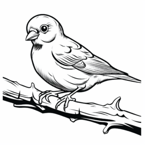 Gleaming Goldfinch Coloring Pages 1