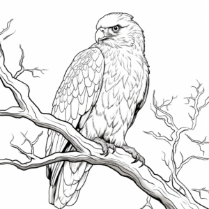 Golden Eagle Watching from Tree Coloring Pages 2