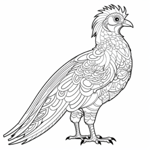 Golden Pheasant Coloring Pages for Adults: Detailed Design 1