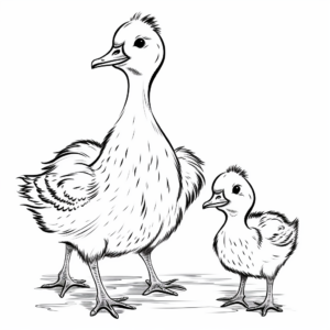Goose Chicks Coloring Pages for Children 4