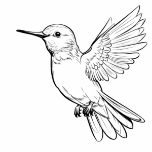 Gorgeous Broad-Tailed Hummingbird Coloring Sheets 2