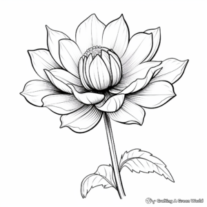Gorgeous Lotus Flower Coloring Pages 2