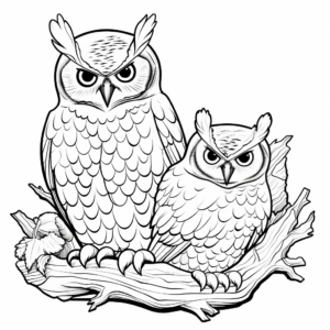 Great Horned Owl Couple Nesting Coloring Pages 4