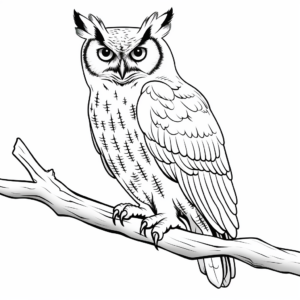 Great Horned Owl Features Diagram Coloring Pages 4