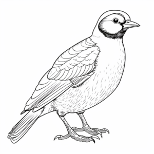Great Spotted Woodpecker Coloring Pages 2