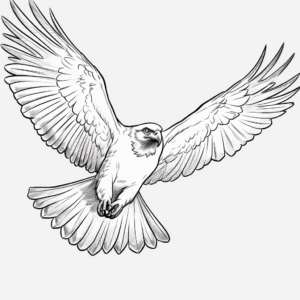 Hand-drawn Osprey Coloring Pages for Artists 3