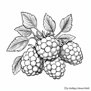 Hand-Drawn Raspberry Coloring Pages 1