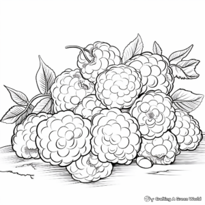 Hand-Drawn Raspberry Coloring Pages 2